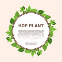 Hop Plant Vector Illustration