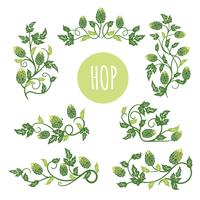 Green Hop Plant, Sketch Style Vector Illustration Isolated on White Background. Ripe Green Hop Cones, Beer Brewing Ingredient