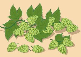 Hop Plant Vector Illustration