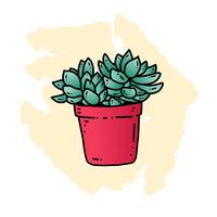 Succulents hand drawn style vector