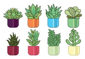 Succulents Vector set