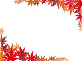 Maple leaf frame. vector