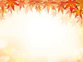 A maple leaf frame with text space. vector