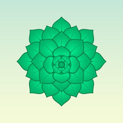 Green Succulent Plant Illustration
