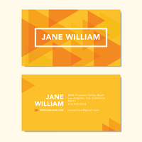 Abstract Prism Business Card vector