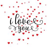 Valentine's Day heart background with decorative text vector