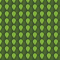 Leaf pattern background  vector
