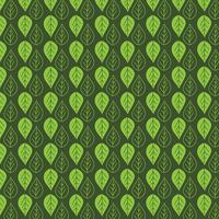 Leaf pattern background  vector