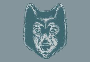 wolf head portrait vector