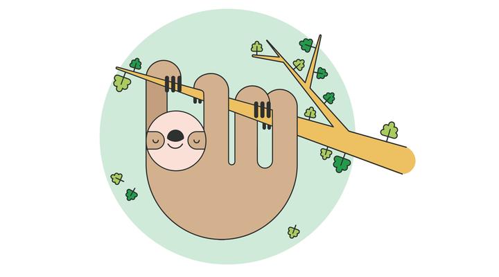 Sloth Vector