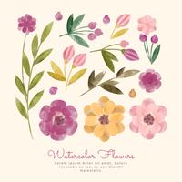 Vector Watercolor Flowers and Branches