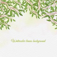 Vector Watercolor Background With Hand Draw Leaves