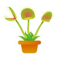 Vectores exclusivos Venus Fly Trap