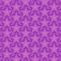 Kaleidoscope Pattern vector