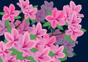 Azalea Flowers Vector Illustration