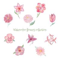 Watercolor Flowers Collection vector
