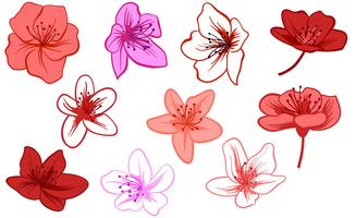 Azalea 2 Vectors