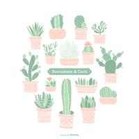 Colored Doodle Suculentas en macetas y vectores de cactus