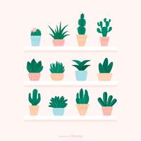 Succulents In Pot Stand On Shelves Vector