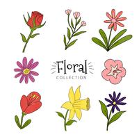 Colección de flores de colores vector