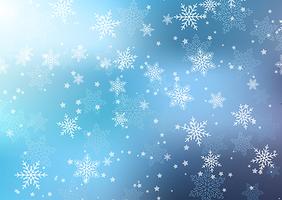 Christmas snowflakes vector