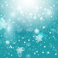 Christmas snowflakes and stars vector