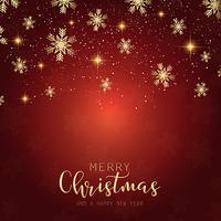 Decorative Christmas snowflake background  vector