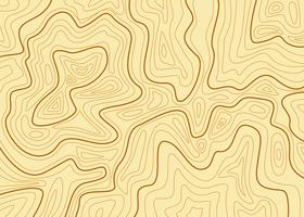 Topography MAP Background Vector