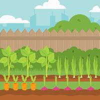 Vegetable garden vector Illustration