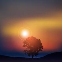 Tree at sunset vector