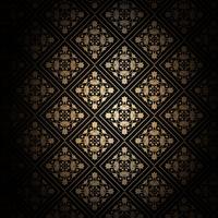 Decorative black and gold background  vector