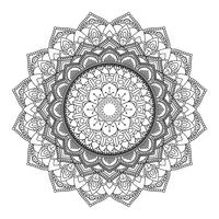 Decorative mandala design 3005 vector