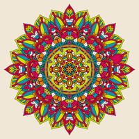 Colourful mandala design vector