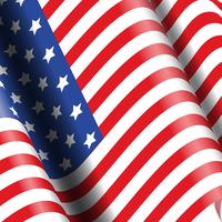 American flag background vector