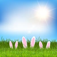 Orejas de conejo de Pascua escondidas en la hierba vector