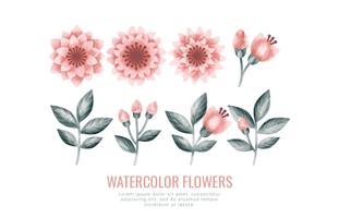 Vector Watercolor Flowers and Branches