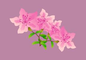 Beautifully Azalea Flowers Vectors