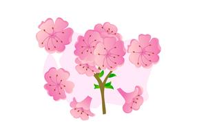 Beautifully Azalea Flowers Vectors