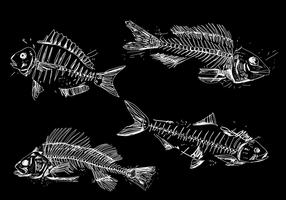 Ilustración realista vector dibujado a mano espina de pescado