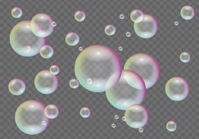 Soap Bubbles On Transparent Background vector