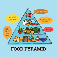 Pirámides de Alimentos vector