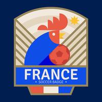 Insignia de fútbol francés vector