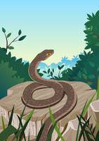 Snake At Nature vector