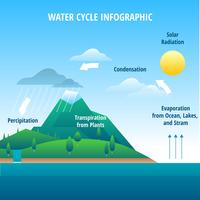 Vector de infografía de ciclo de agua