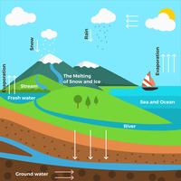 Vector de infografía de ciclo de agua plana