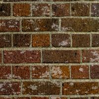 Grunge brick wall texture vector