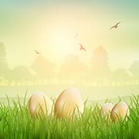 Easter eggs in grass  vector