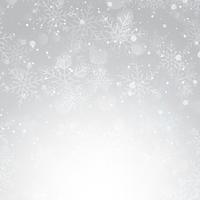 Silver Christmas snowflake background  vector
