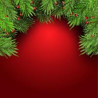 Christmas background with fir tree branches and berries 1410 vector