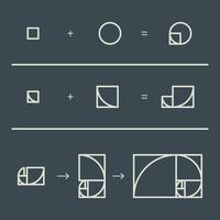 Formando la proporción áurea vector